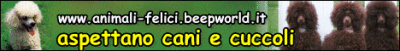 Animali Felici