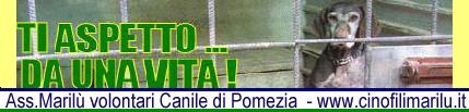 associazione marilu