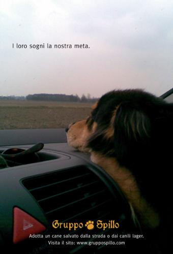 Gruppo Spillo