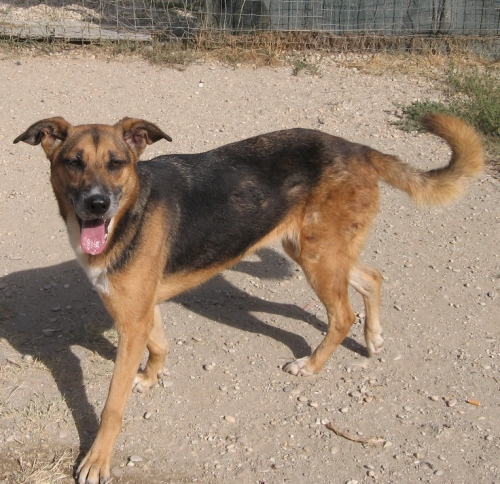 1493-03-kenia