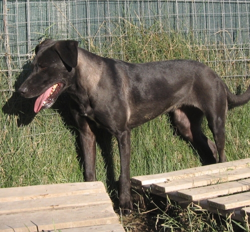550-03