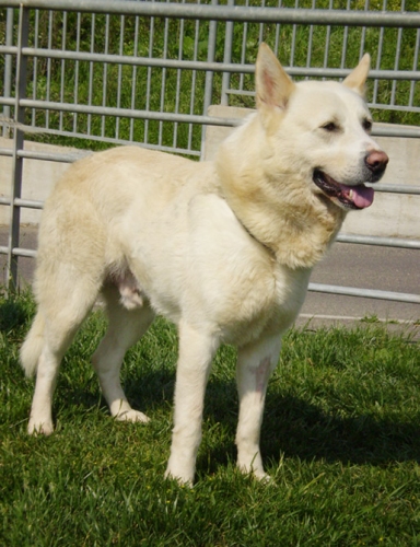 1261-05bianco