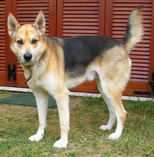 1354-06_thor