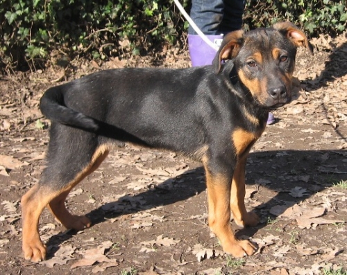 bernyvalle