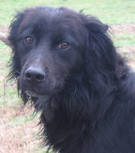 brezzaprimopiano_copy