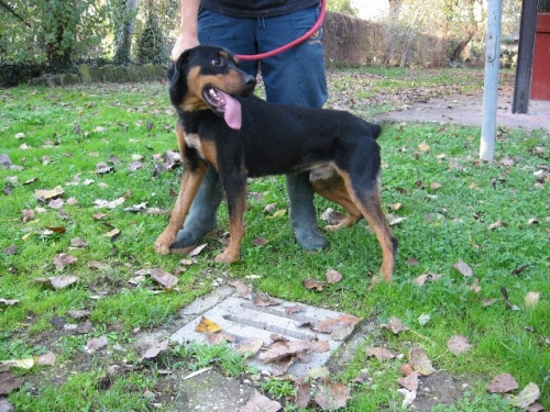 ettore_copy