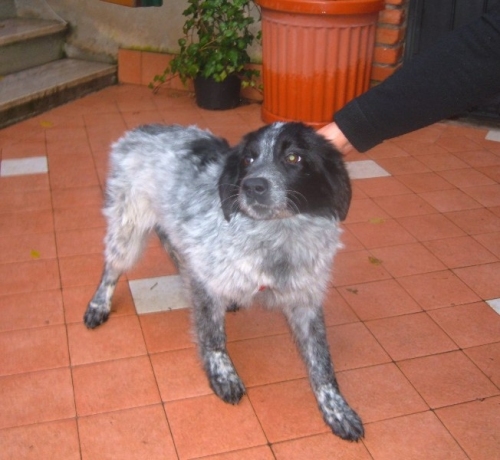 lola_1
