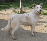 2023-08-tilly