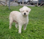 24-09-babette