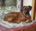 otto2