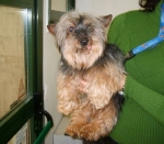 spillo2-31-09