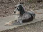 spina_2