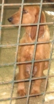 spinonefulvo3