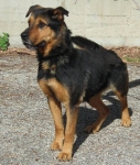 winnie1