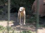 filomena3