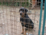 rottina2