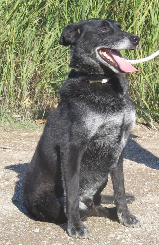 yucatanintero1