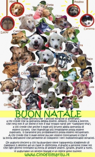 buon_natale_pomezia