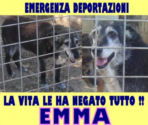 emma_box_27pomezia