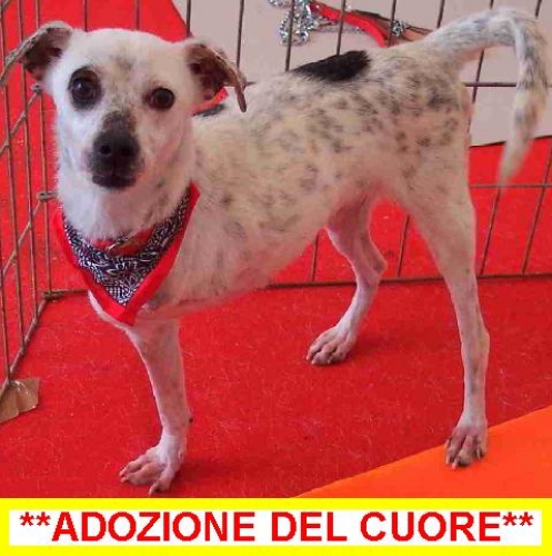 flora_adozione_del_cuore
