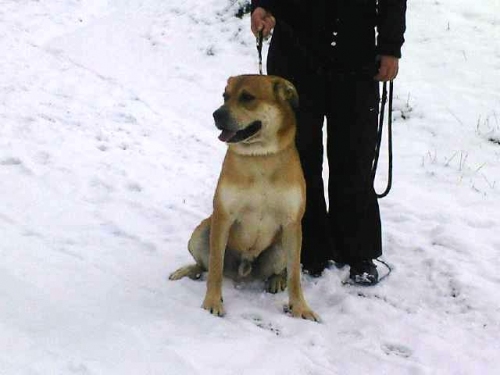 foto0014