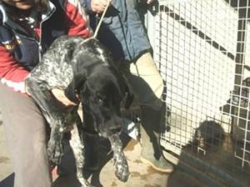 image001_copy_copy_copy