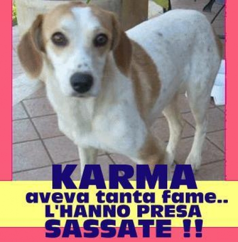 karma_presa_a_sassate