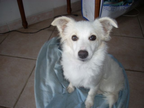 lilli_copy_copy