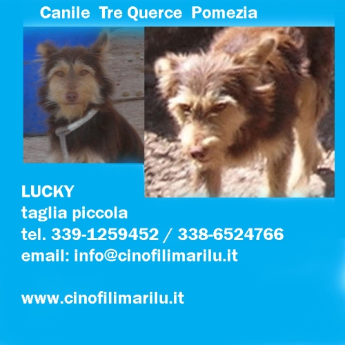 lucky-