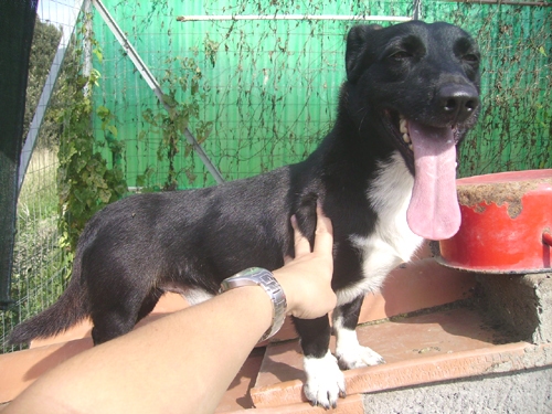 microbo3