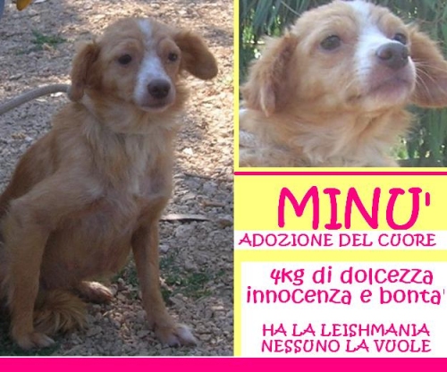 minu_mix