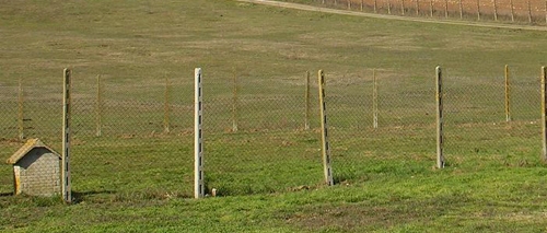 oasilocatelli
