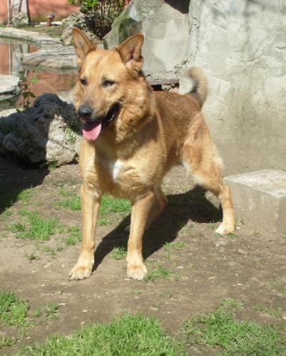 ralf