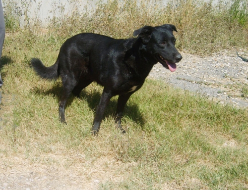 rif_1538-08