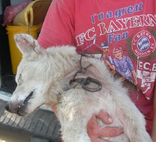 romania1