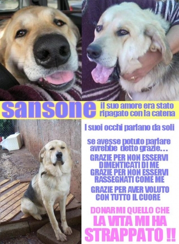 sansone_al_rifuggio