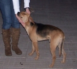 a100_7477_copy