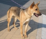 aria_2