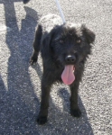 athos3