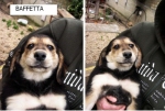 baffettaok2