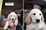 biancaok