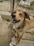 camillo1