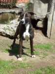 frida1