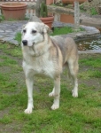 isidorro1