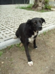 lilli1