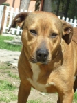 lothar1