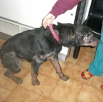 nanniclinica1
