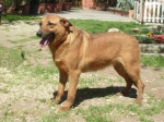 nora2