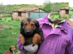 pipponew1