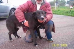 rex_box_23__pomezia